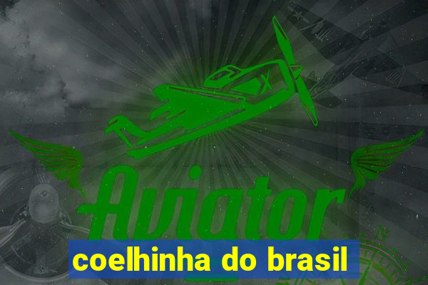 coelhinha do brasil